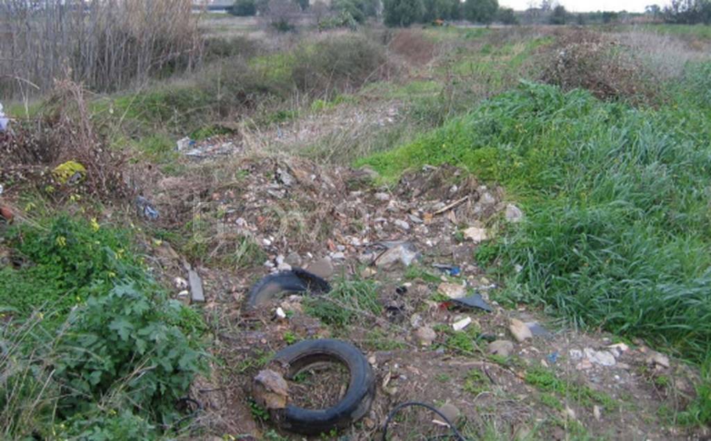 immagine annuncio 2 di 12