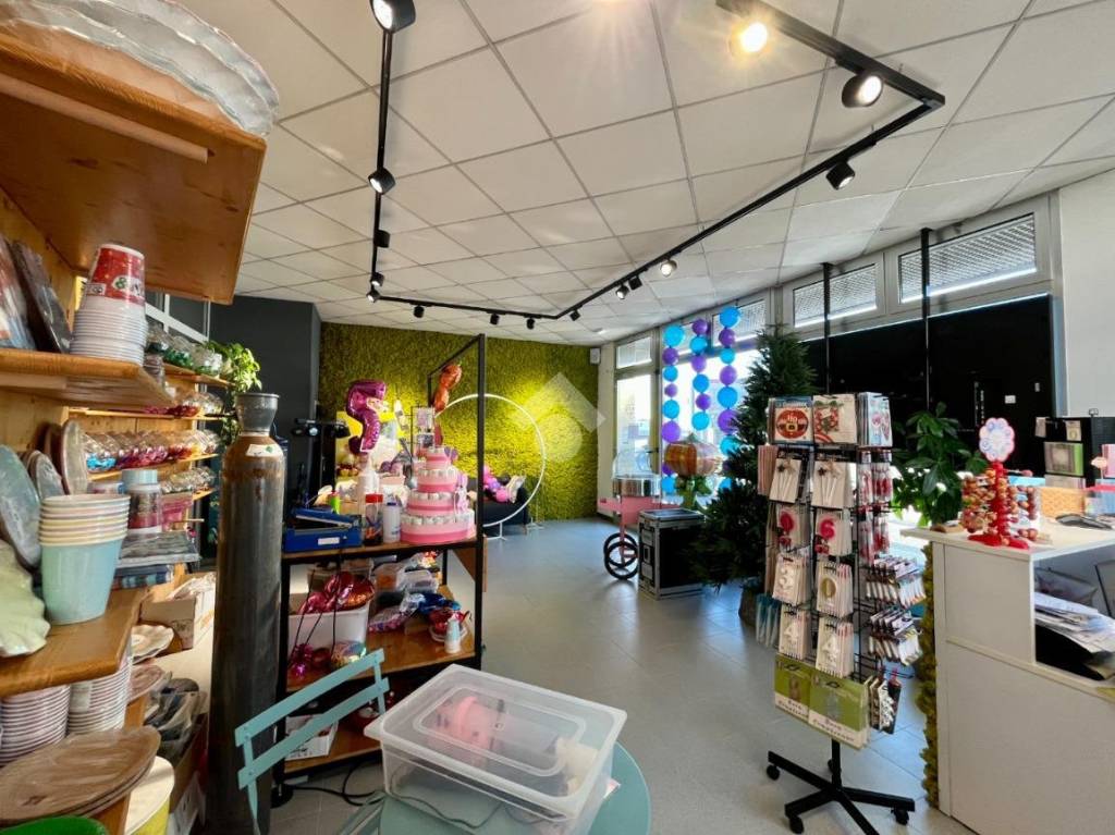 immagine annuncio 9 di 14