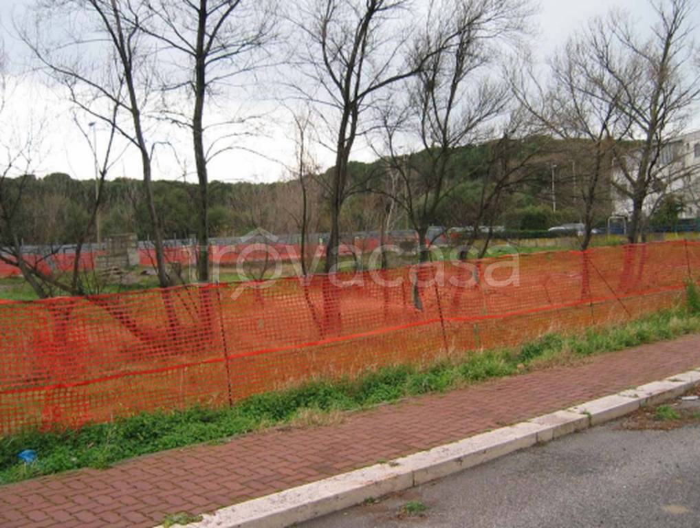 immagine annuncio 4 di 12