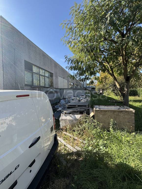 immagine annuncio 7 di 15