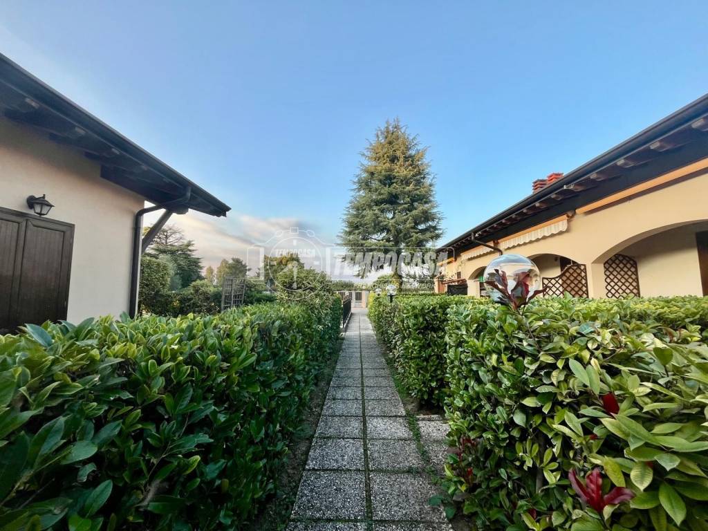 immagine annuncio 12 di 14