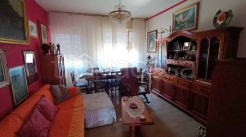 immagine annuncio 9 di 14