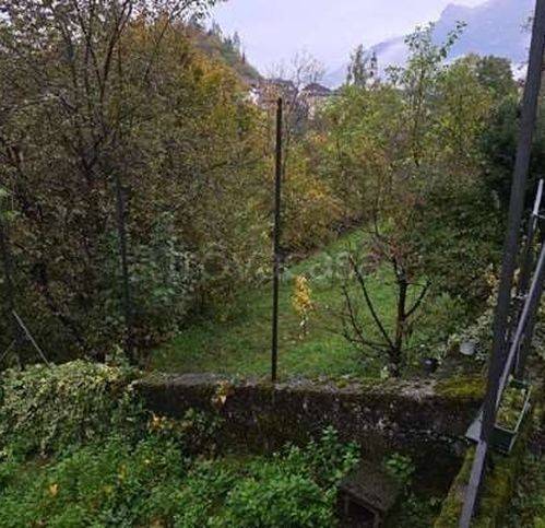 immagine annuncio 11 di 14