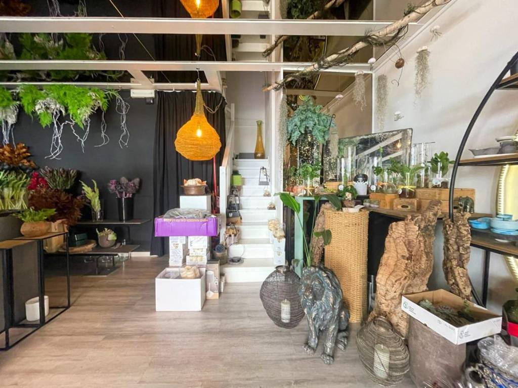 immagine annuncio 3 di 14