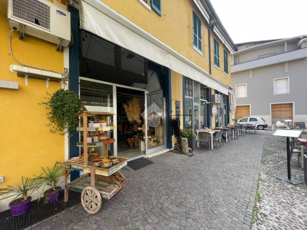 immagine annuncio 5 di 14