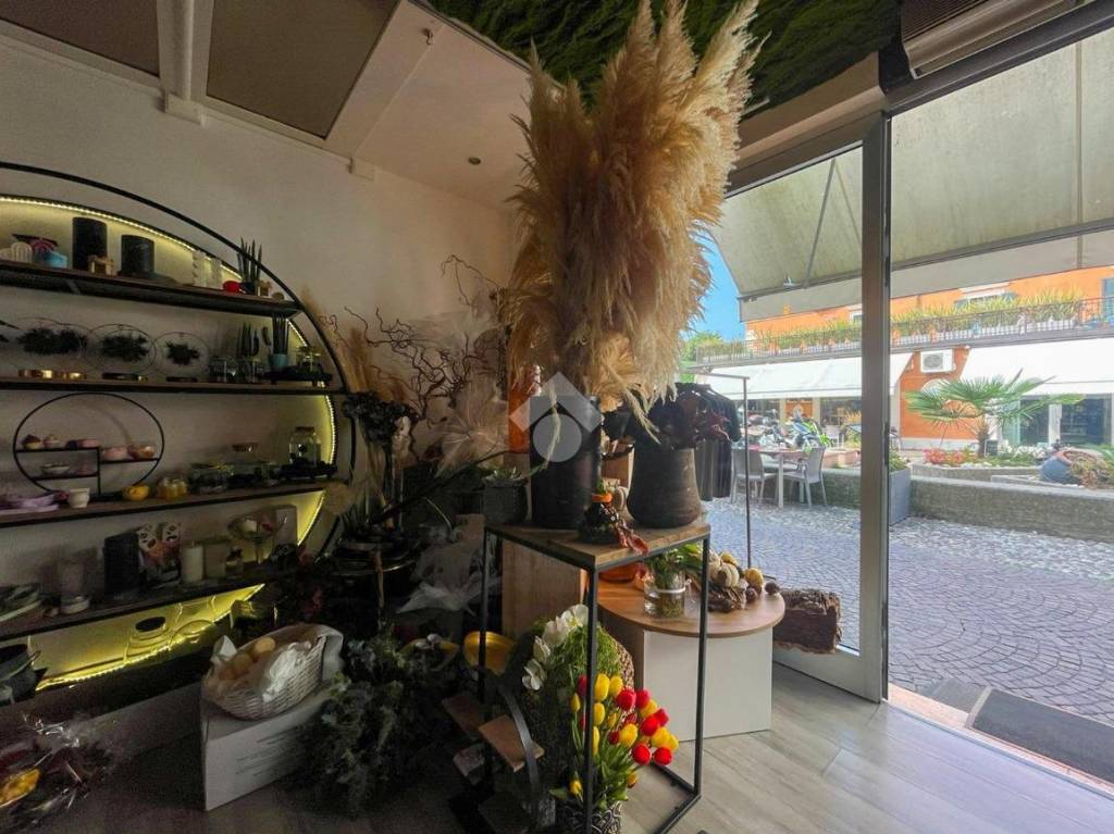 immagine annuncio 9 di 14