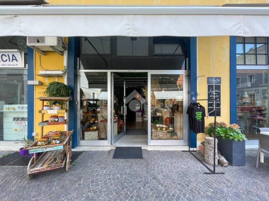 immagine annuncio 12 di 14