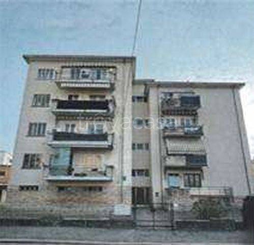 immagine annuncio 2 di 14