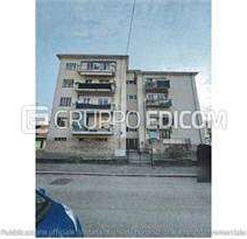 immagine annuncio 4 di 14