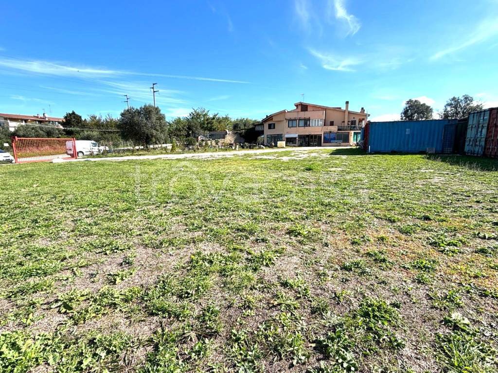 immagine annuncio 7 di 13