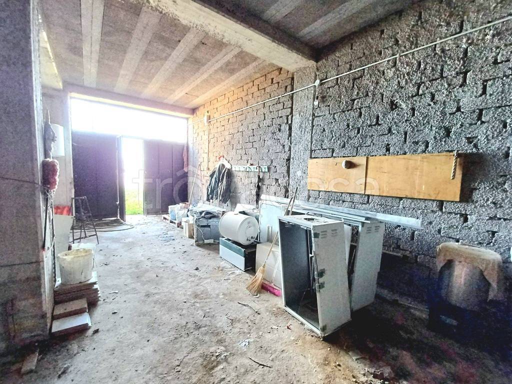 immagine annuncio 3 di 8