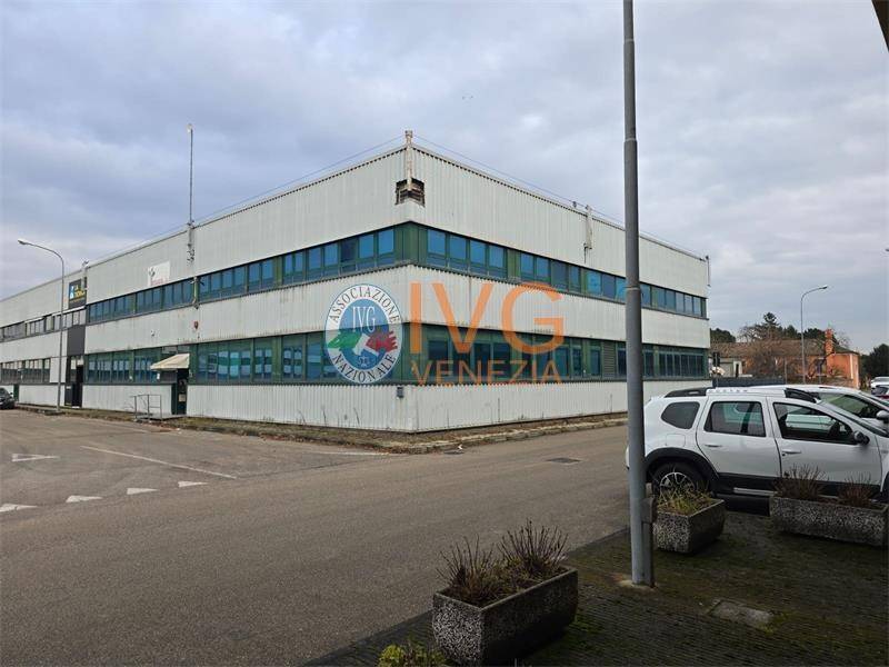 immagine annuncio 7 di 8