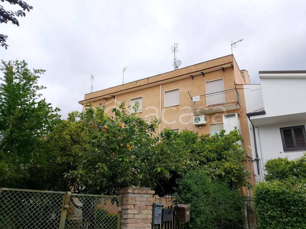 immagine annuncio 10 di 12