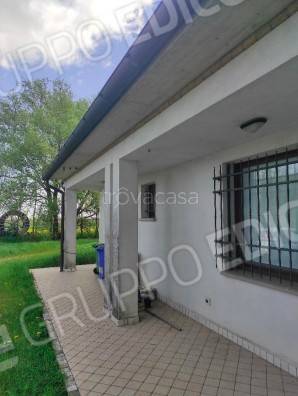 immagine annuncio 4 di 14