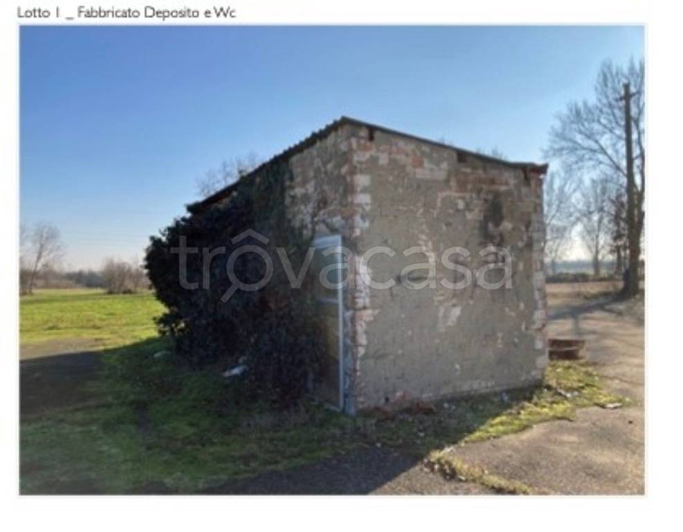 immagine annuncio 12 di 15