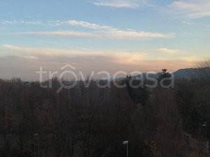 immagine annuncio 4 di 8