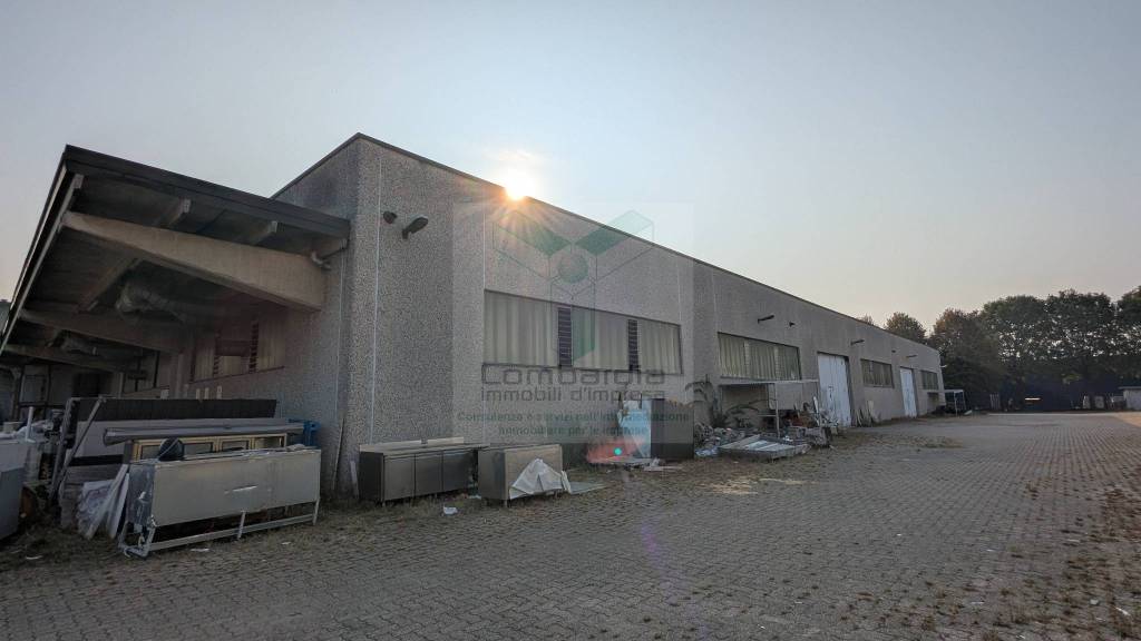 immagine annuncio 6 di 15