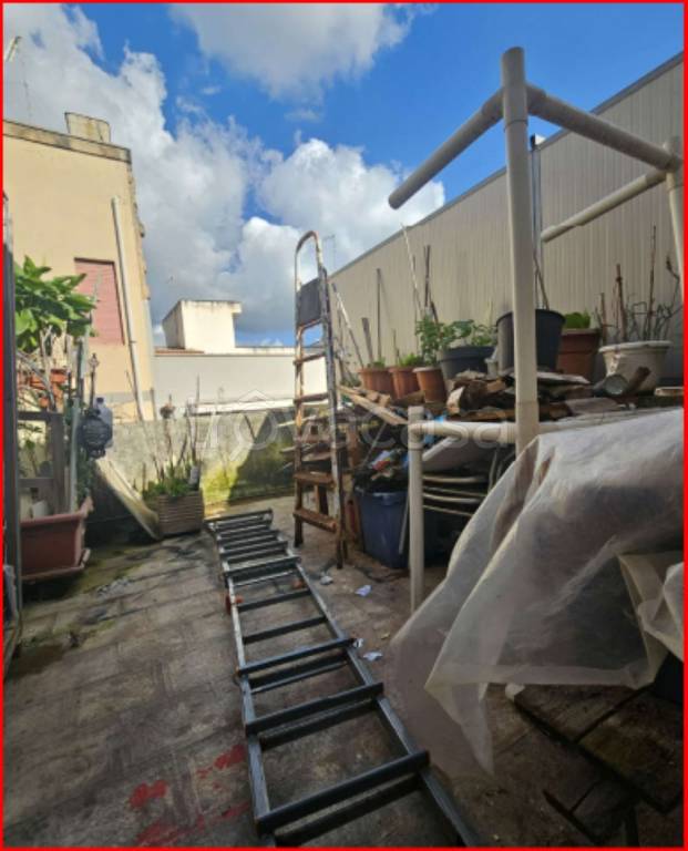 immagine annuncio 12 di 14