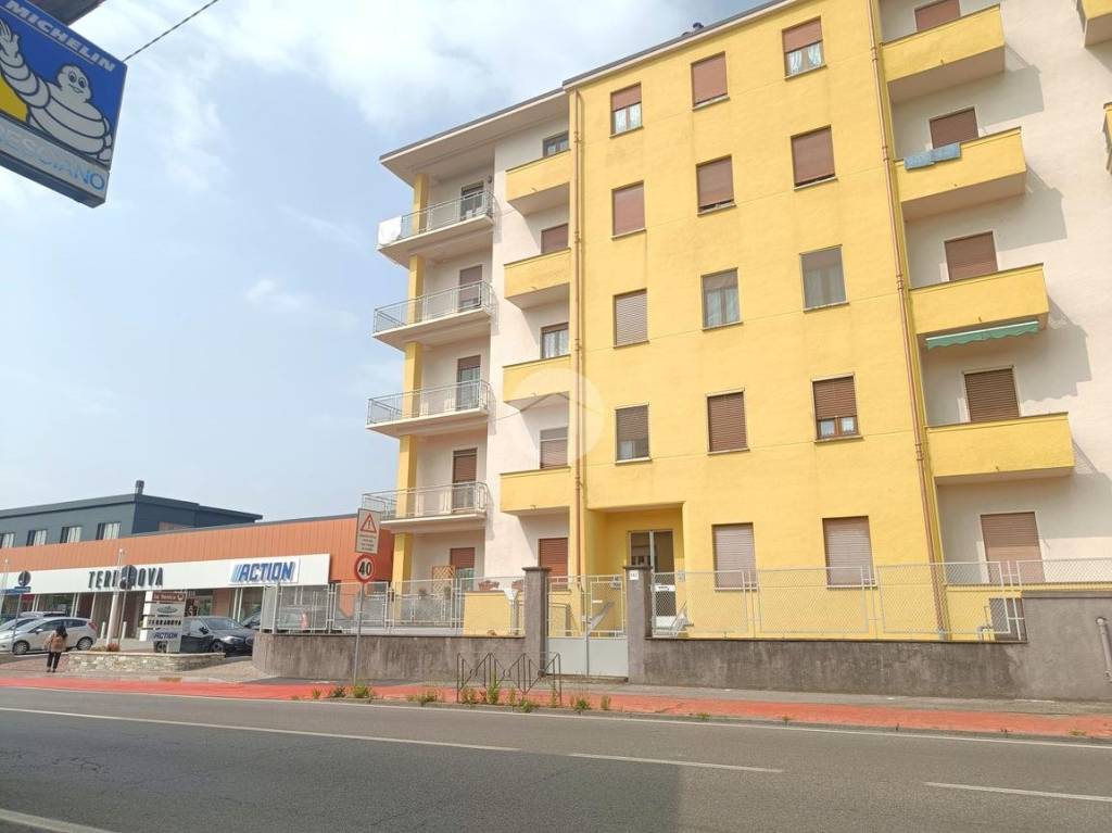 immagine annuncio 1 di 15