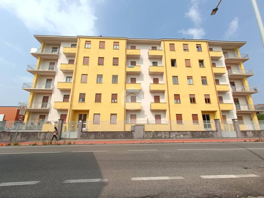 immagine annuncio 12 di 15