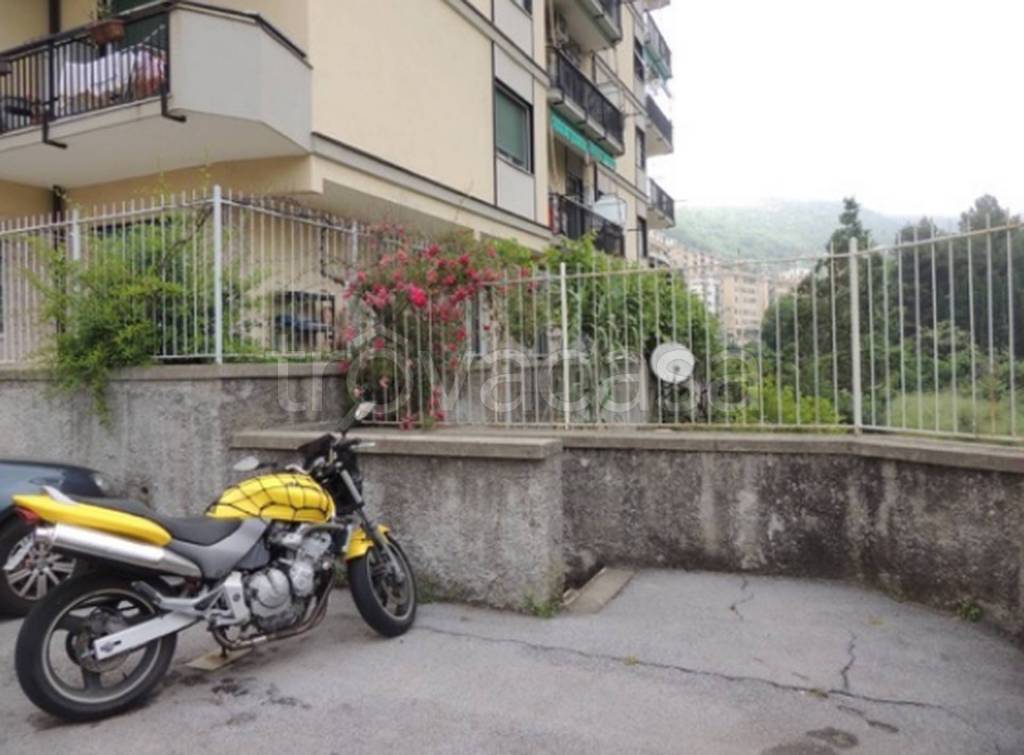 immagine annuncio 4 di 13