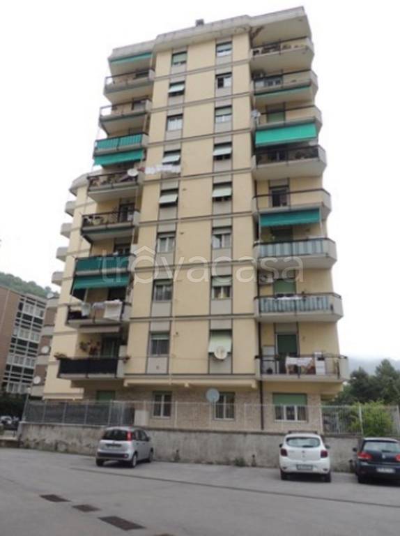 immagine annuncio 7 di 13