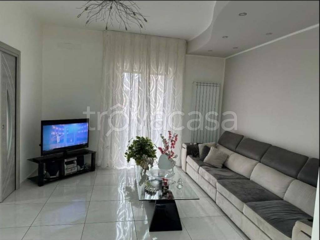 immagine annuncio 9 di 14