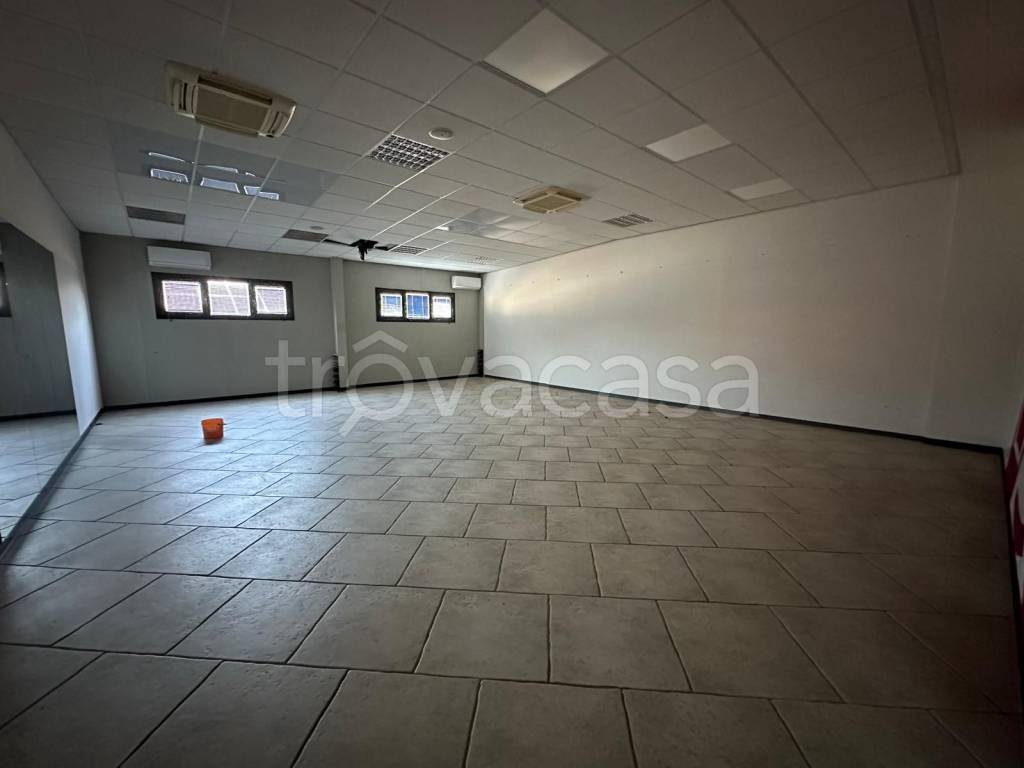 immagine annuncio 5 di 9