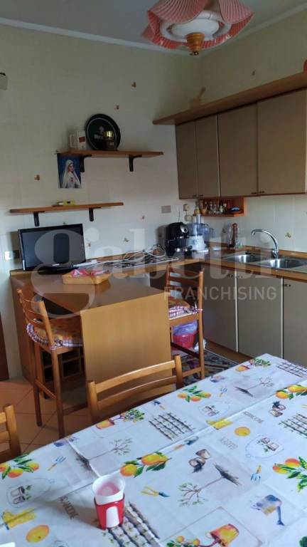 immagine annuncio 2 di 14