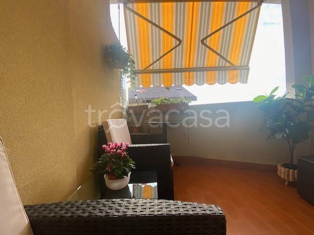 immagine annuncio 6 di 12