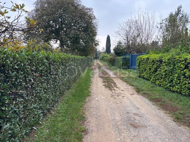 immagine annuncio 2 di 11