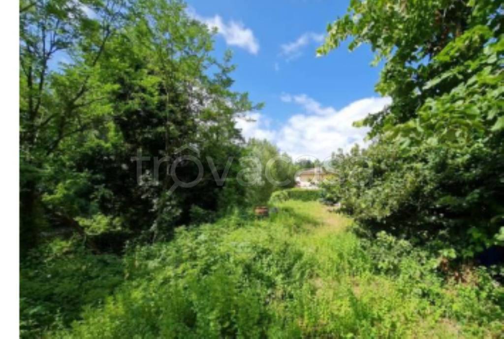 immagine annuncio 7 di 13