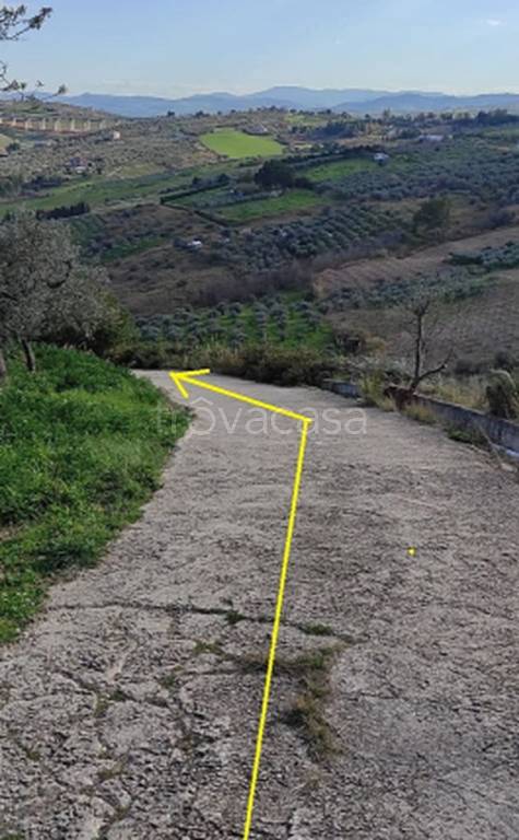 immagine annuncio 9 di 11