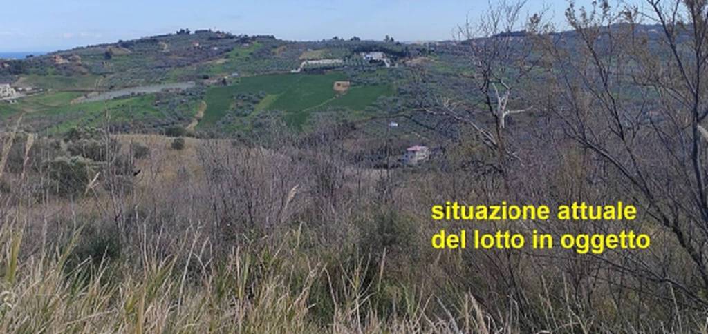 immagine annuncio 8 di 11