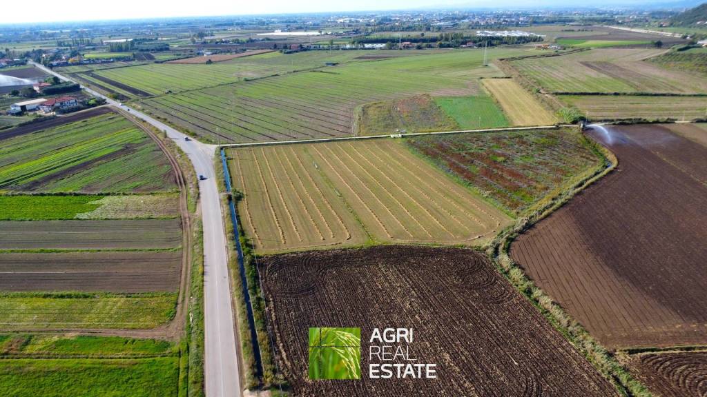 immagine annuncio 4 di 8