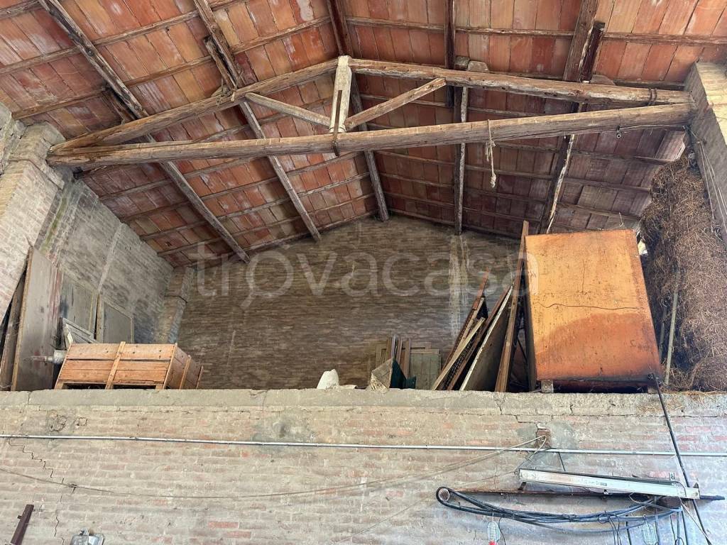 immagine annuncio 2 di 7