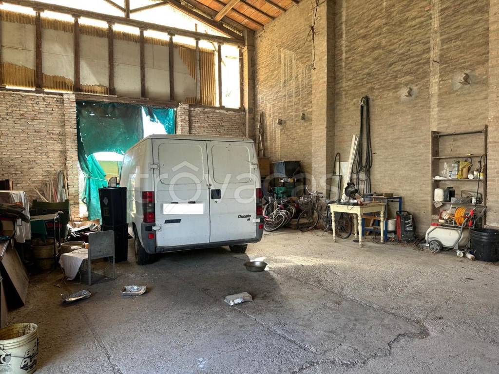 immagine annuncio 3 di 7