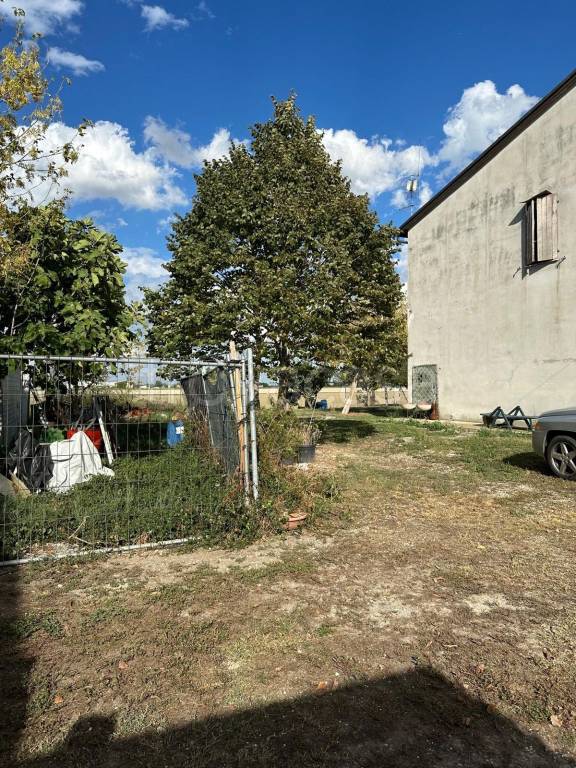 immagine annuncio 5 di 7