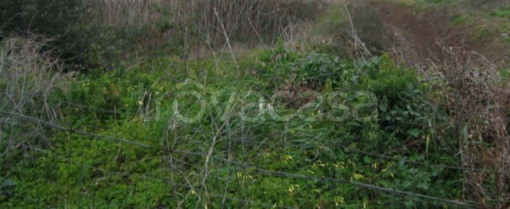 immagine annuncio 11 di 13