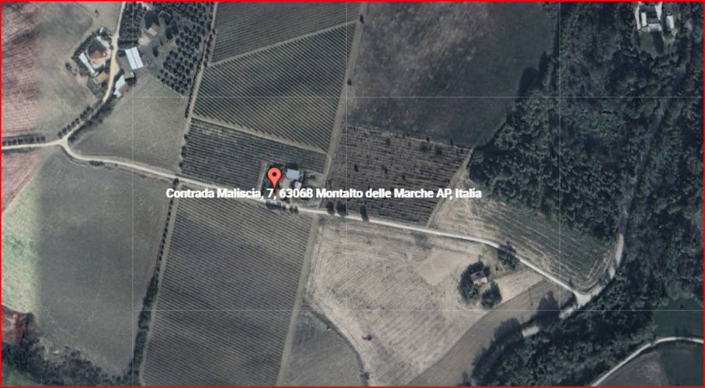 immagine annuncio 10 di 11