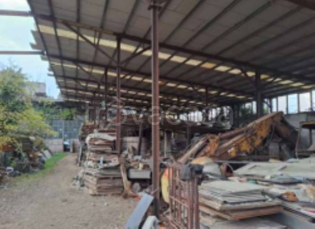 immagine annuncio 5 di 11