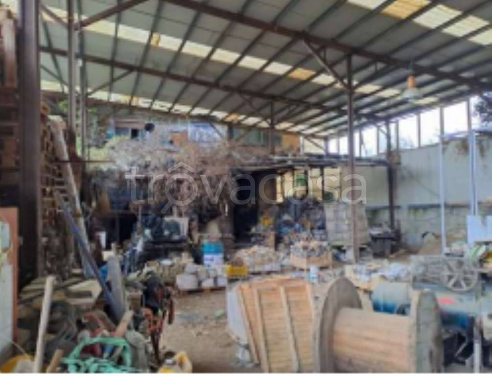 immagine annuncio 7 di 11