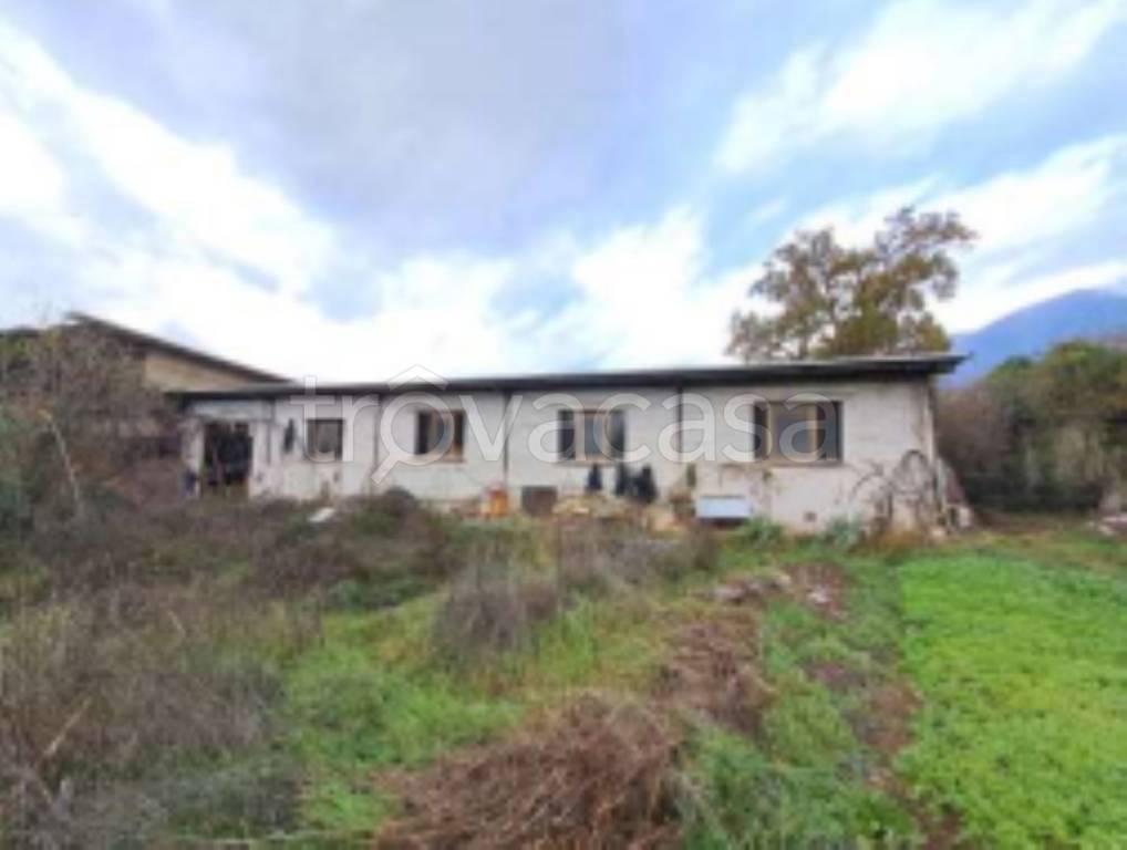 immagine annuncio 8 di 11