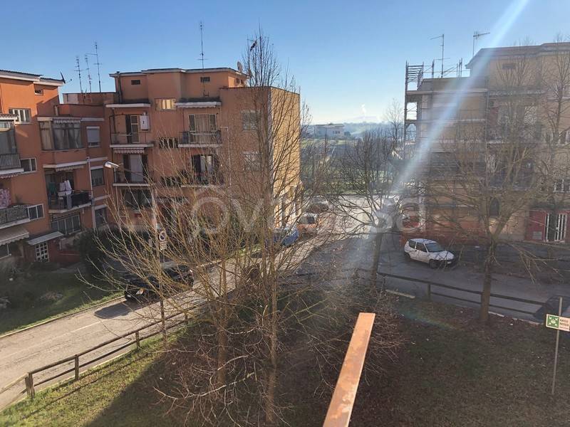 immagine annuncio 9 di 11