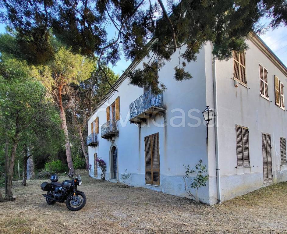 immagine annuncio 8 di 15