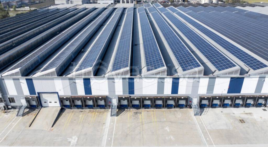 immagine annuncio 2 di 6