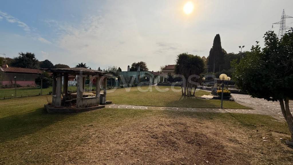 immagine annuncio 12 di 13