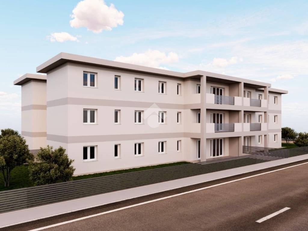 immagine annuncio 2 di 12