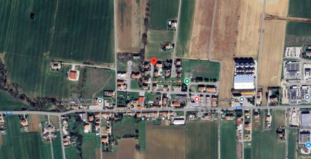 immagine annuncio 2 di 6