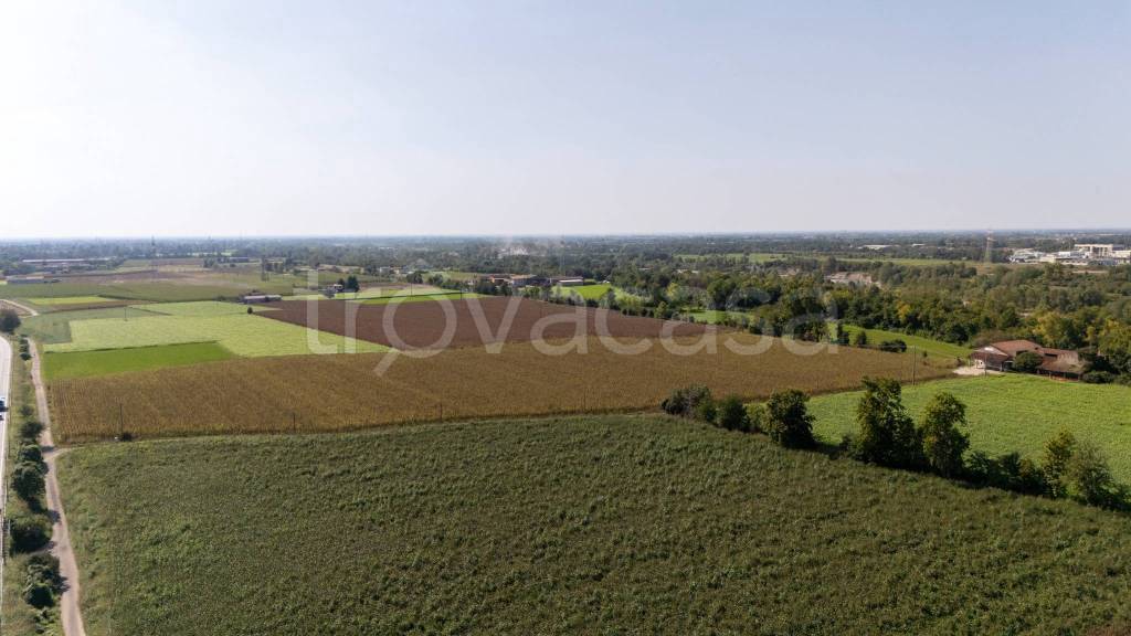 immagine annuncio 4 di 8